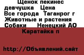 Щенок пекинес девчушка › Цена ­ 2 500 - Все города, Таганрог г. Животные и растения » Собаки   . Ненецкий АО,Каратайка п.